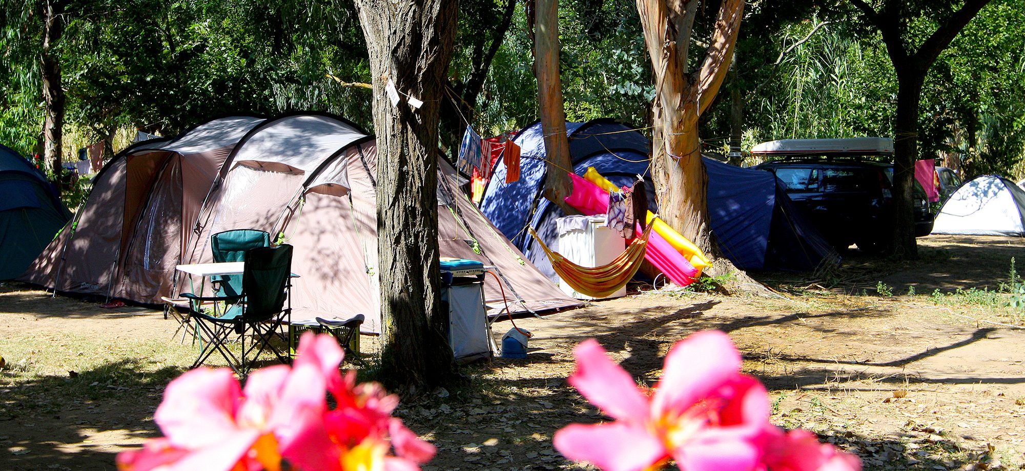 Camping pitch Var: tent, motorhome, caravan in Hyères